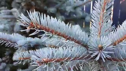 A mountain is a large landform that stretches above the surrounding land in a limited area