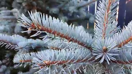 A mountain is a large landform that stretches above the surrounding land in a limited area