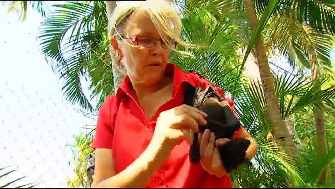 Outback Wildlife Rescue Episode 10