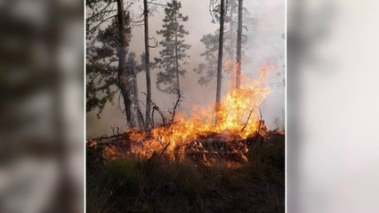 Zjarret, drejt kontrollit - Top Channel Albania - News - Lajme