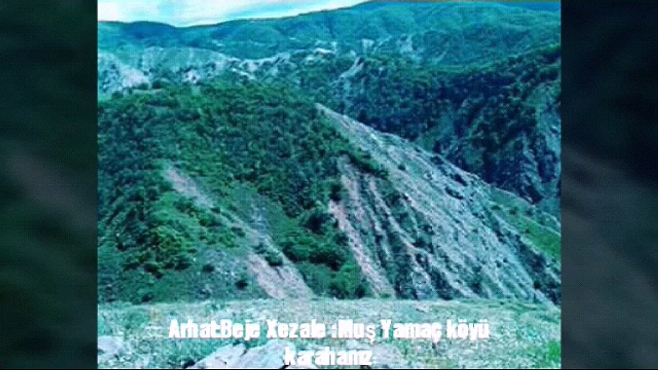 arhat xezale