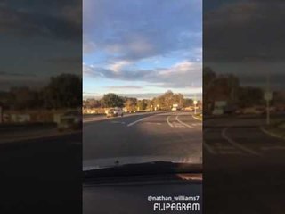 Guy Has Insanely Excited Reaction to Seeing 'Shred-it' Trucks