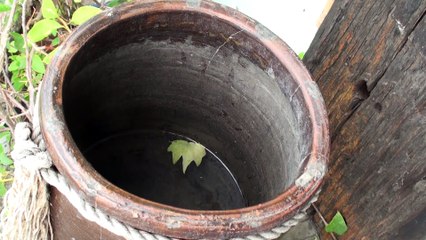 Uber allows in-app tips for UK drivers