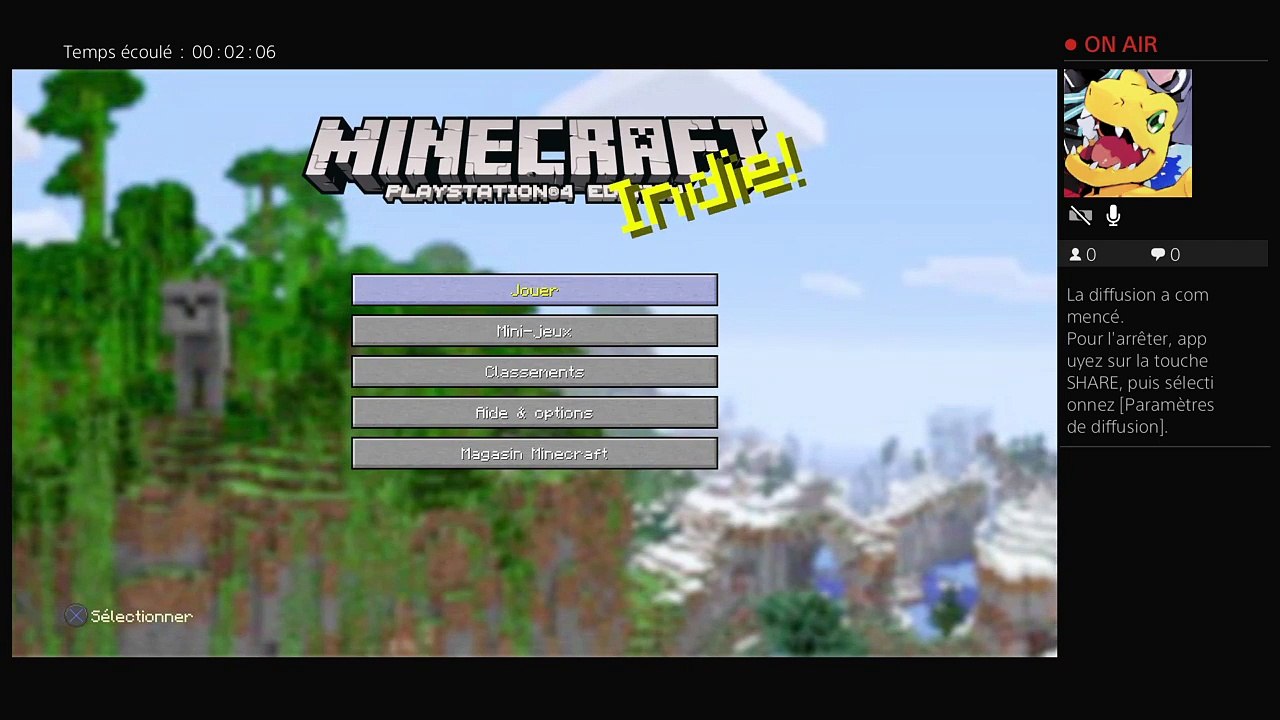 Minecraft (32)