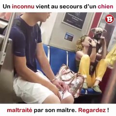 Un inconnu vient au secours d’un chien maltraité par son maître. Regardez !