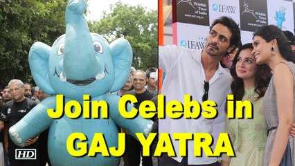 GAJ YATRA : Celeb urge to SAVE ELEPHANTS