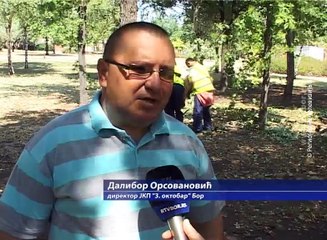 Posledice nevremena u Boru, 14. avgust 2017 (RTV Bor)