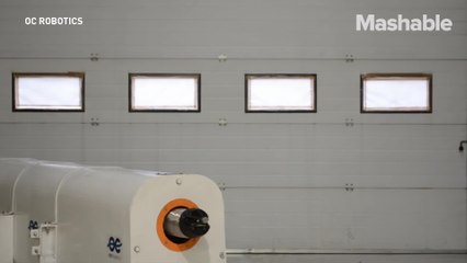 This snake-like robot can destroy radioactive objects with a laser