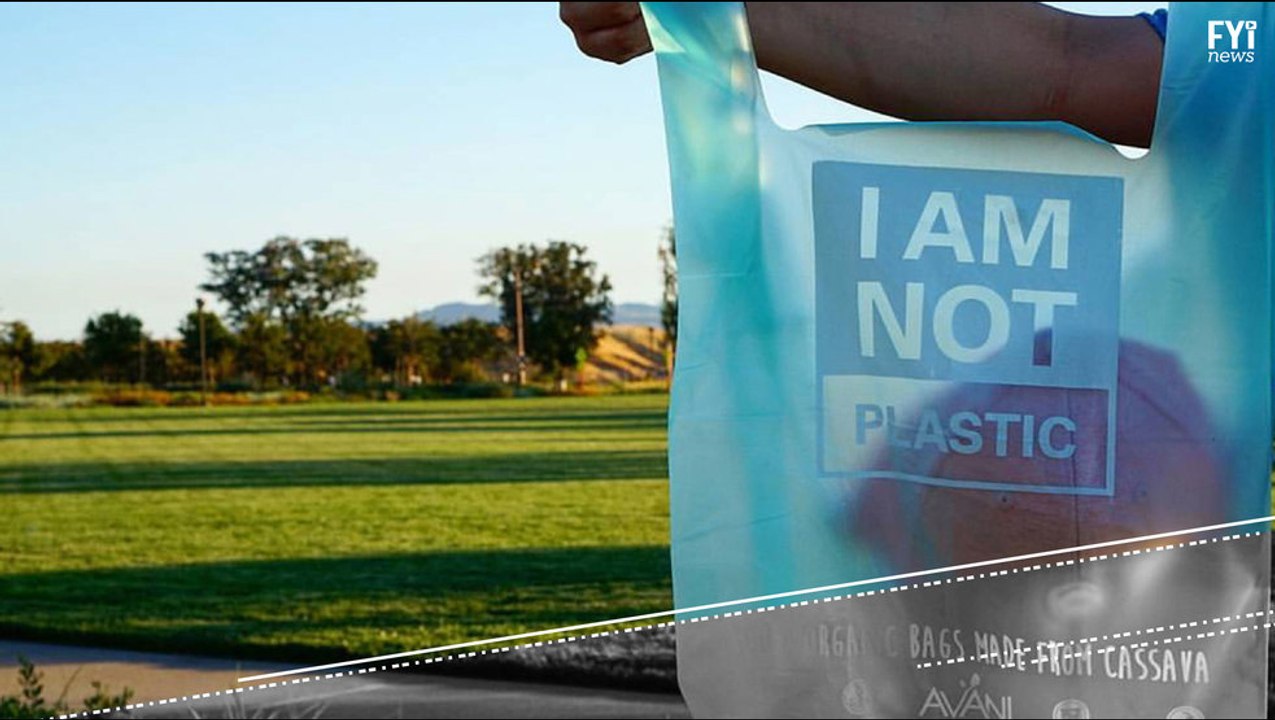 Chega de sacolas de plástico: conheça uma alternativa revolucionária