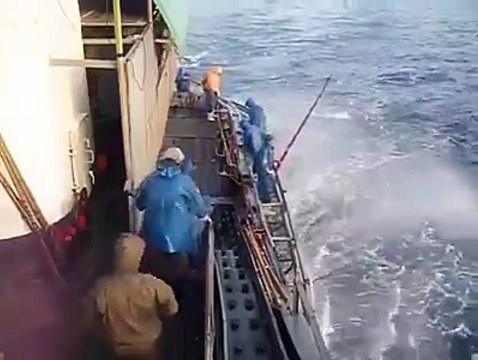 Böyle orkinos avı görmediniz