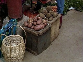 tierra adentro mercado parte 2