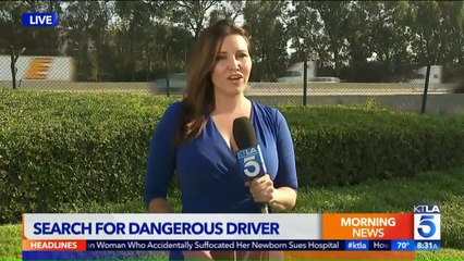 Driver Sought After Video Captures Violent Crash That Left BMW Stuck Under Semi