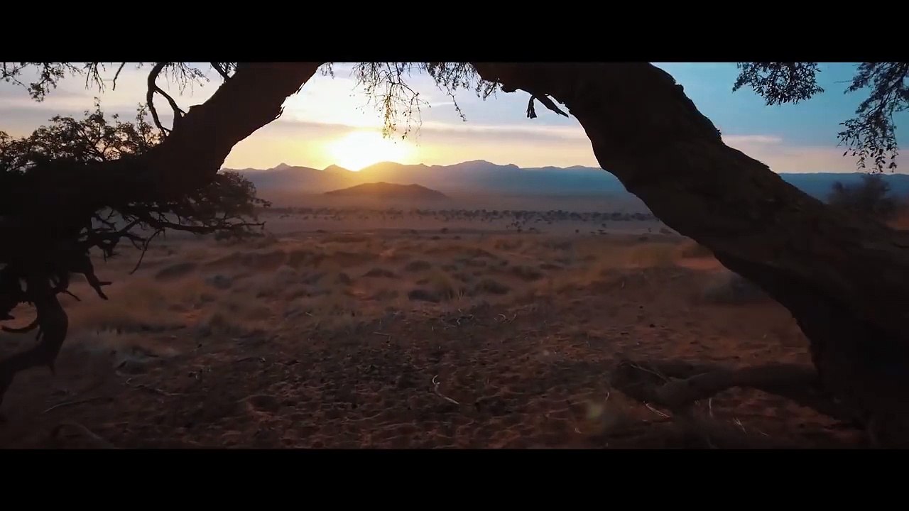 Bassnectar ft. Lafa Taylor Speakerbox (VideoHUB) #enjoybeauty