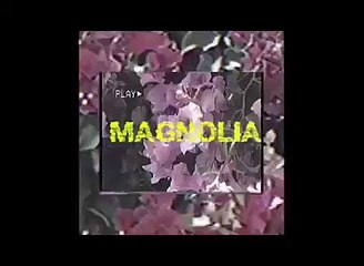 Sneazzy - Magnolia (Freestyle)