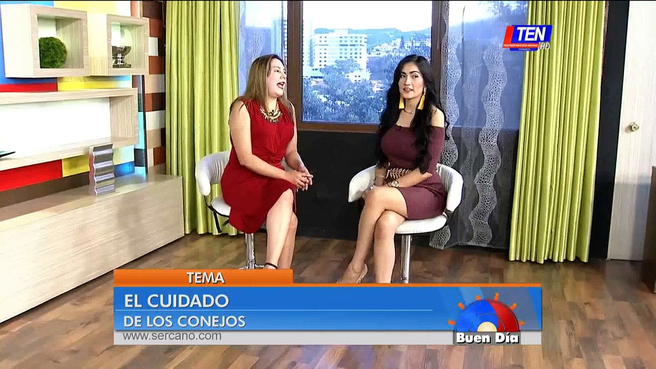 Conoce el cuidado de los conejos