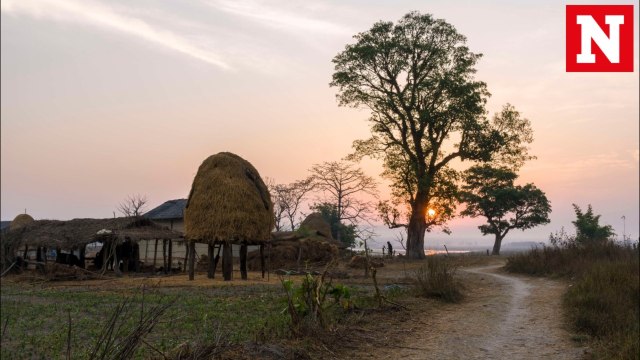 Elephants Help Rescue More Than 500 Tourists In Jungle Safari In Nepal