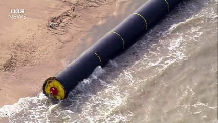 Giant pipes wash up on beaches - BBC News