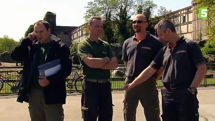 Naissance d'un bébé girafe en direct