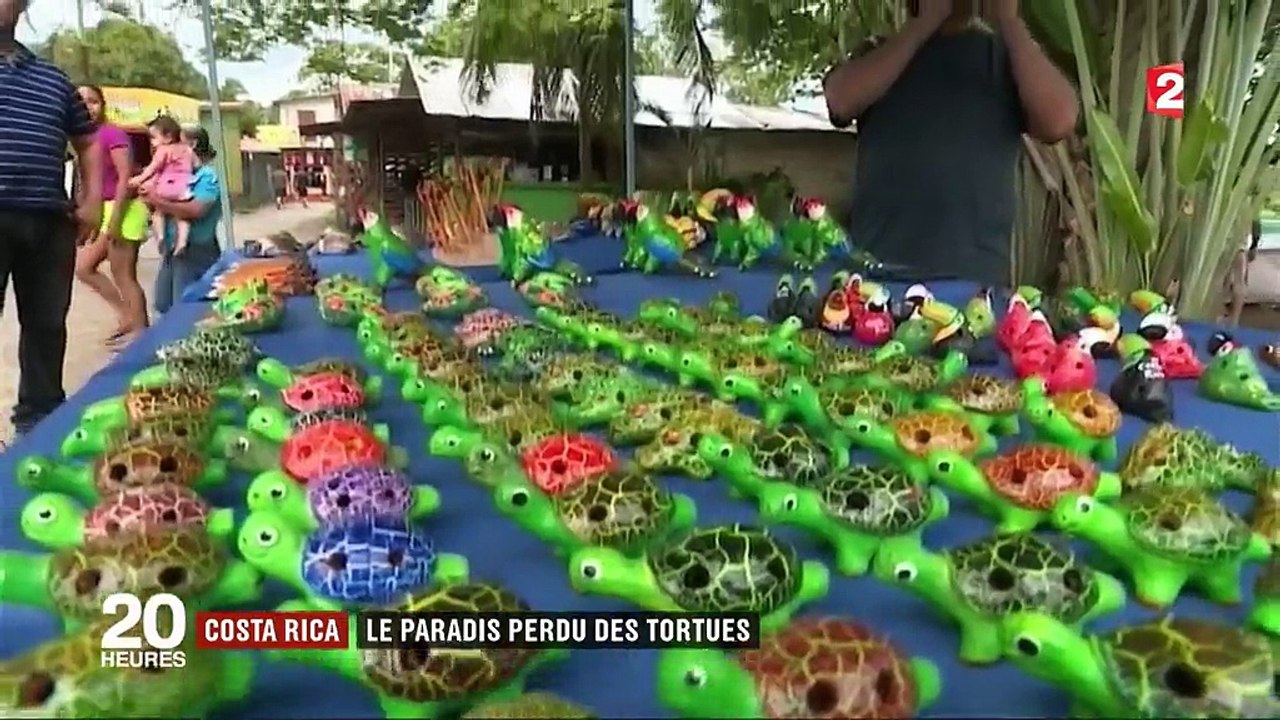 Costa Rica : le paradis des tortues