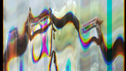 اغرب اشياء سوف تراها في حياتك ولن تصدقها