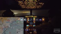 Night Landing Nice  Cockpit View 4K