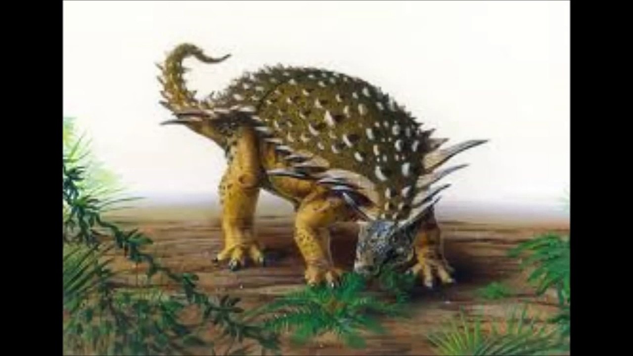 the nodosaurus