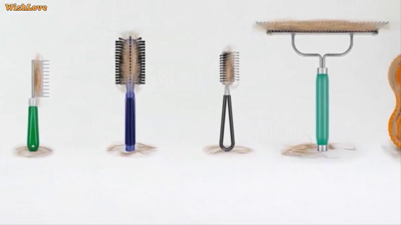 Dyson Vacuum Grooming Brush