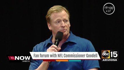 NFL Commissioner Roger Goodell talks to Arizona fans