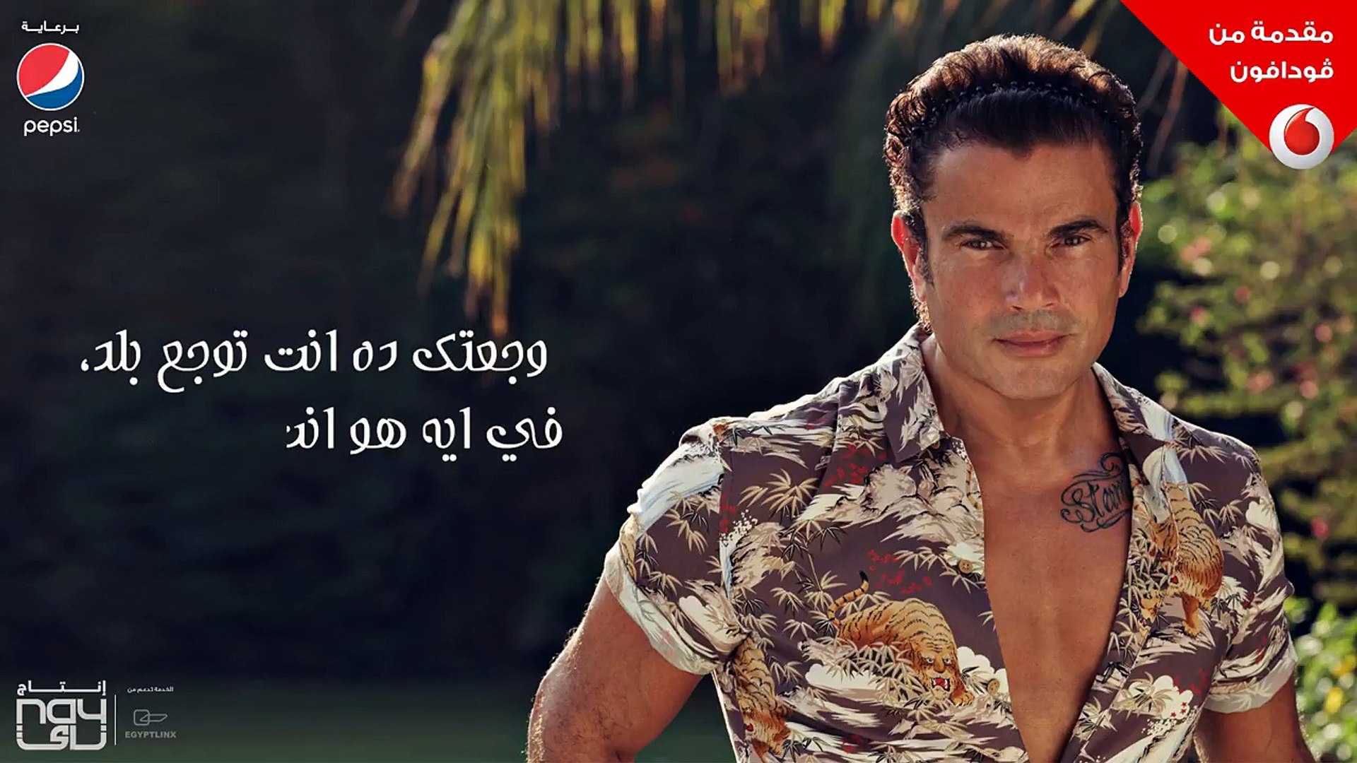 Amr Diab Nghamet El Herman Audio