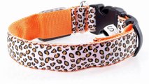 Fashion Leopard Led Dog Collar