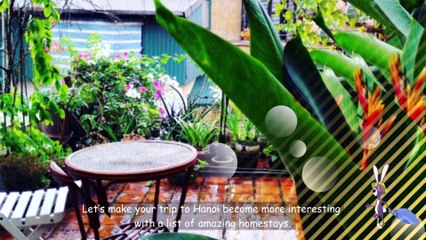 VIETNAM TRAVEL_ NHUNG HOMESTAY XINH ĐẸP O HÀ NỘI
