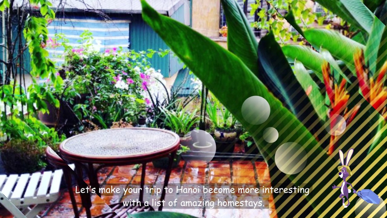 VIETNAM TRAVEL_ NHUNG HOMESTAY XINH ĐẸP O HÀ NỘI