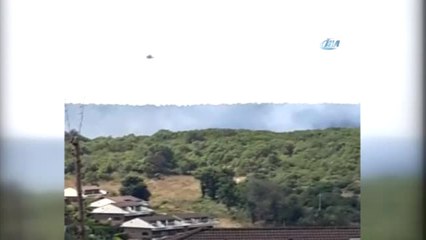 Sarıyer Rumeli Feneri'nde Orman Yangını