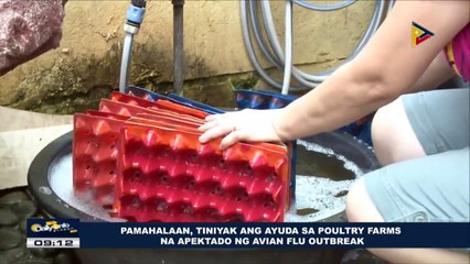 Pamahalaan, tiniyak ang ayuda sa poultry farms na apektado ng Avian flu outbreak