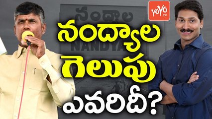 నంద్యాలలో  గెలుపు ఎవరిది? | YCP Vs TDP  Who Will Win in Nandyal By Polls Election | YOYO TV Channel