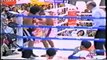 【タイの英雄！】ウィラポン ムエタイ&ボクシング KO集 17試合 Veeraphol Sahaprom KO Collection Muay Thai & Boxing