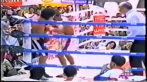 【タイの英雄！】ウィラポン ムエタイ&ボクシング KO集 17試合 Veeraphol Sahaprom KO Collection Muay Thai & Boxing