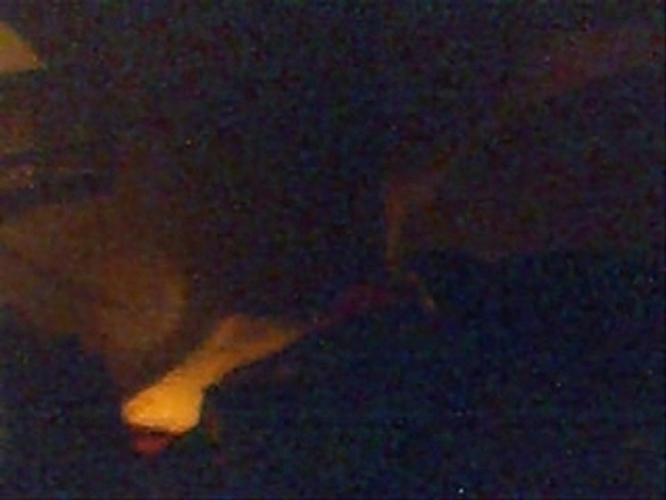 Orbs&phosphenes