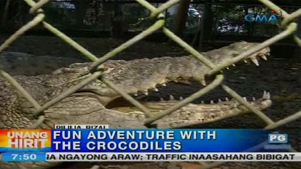 Unang Hirit: Fun Adventure with the Crocodiles sa Pililia, Rizal