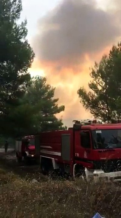 VIDEO1