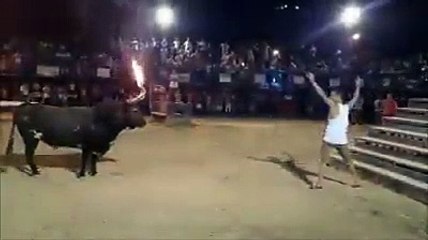 Funny Bull Fighting - Bull is Full of Rage.