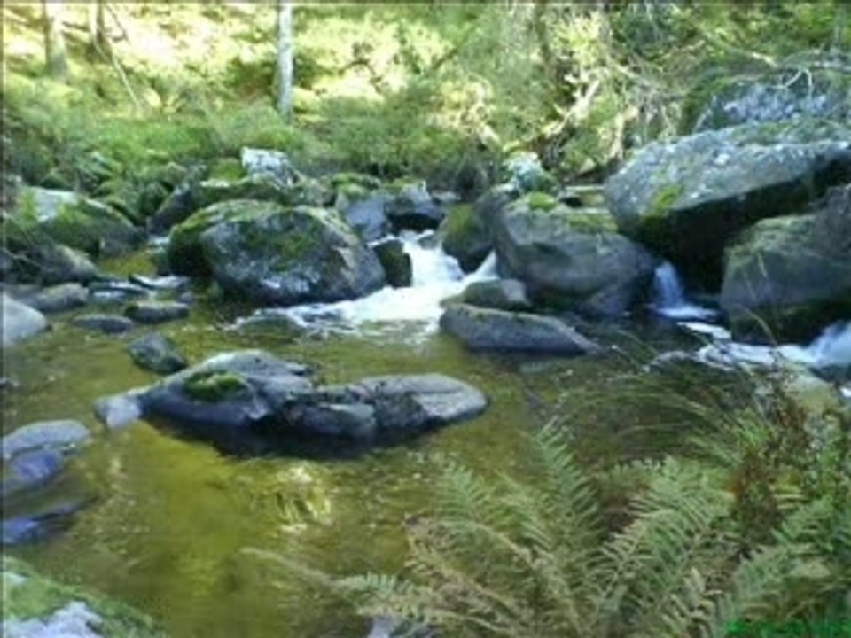 La nature