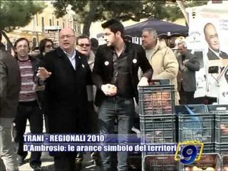 TRANI | Regionali 2010 | D'Ambrosio: le arance simbolo del territorio