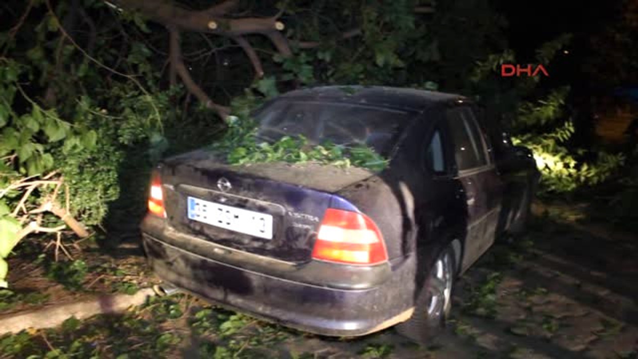 Izmir Otomobilin Üzerine Ağaç Devrildi