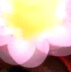 Pamuk Şekerinden Devasa Çiçek Yapımı