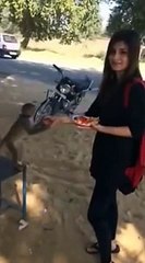 Bandar ka khobsurat larki ka sath maza