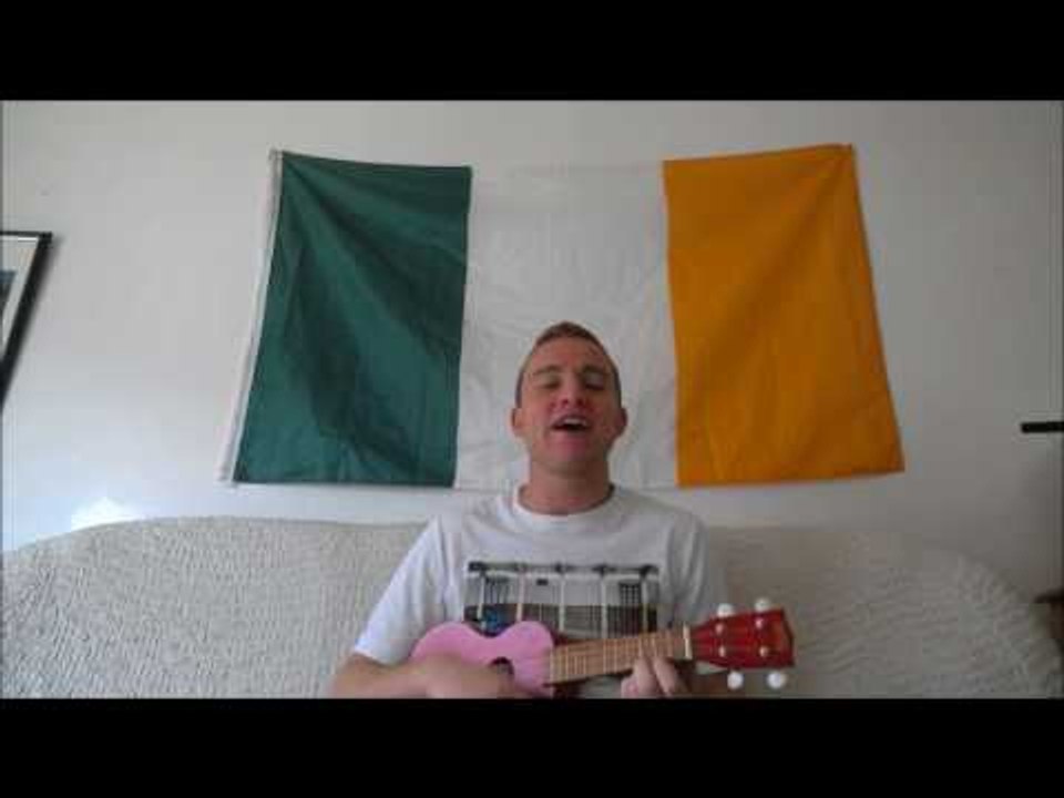 Conor McGregor Supports Song Composed of His Most Famous Quotes