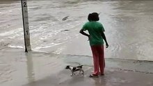 Woman scares a crocodile