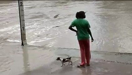 Woman scares a crocodile