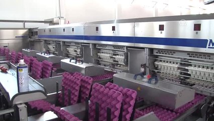 Avrupa'daki Yumurta Krizi, Ihracatçıların Beklentisini Artırdı - Afyonkarahisar